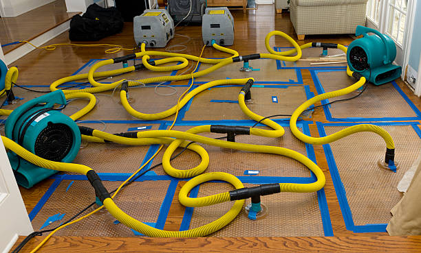 Professional Storm Water Damage Restoration technician working in East Greenville, PA